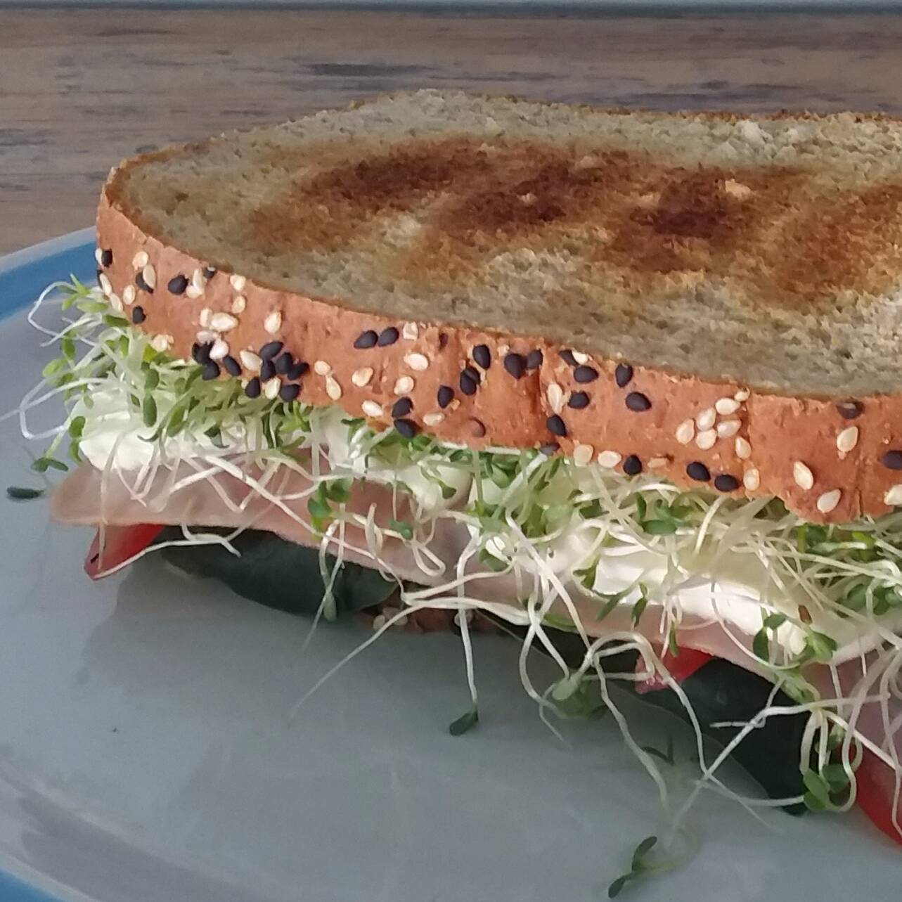 Sándwich Light