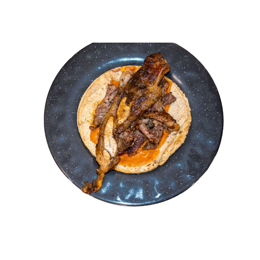 Taco de aguja norteña