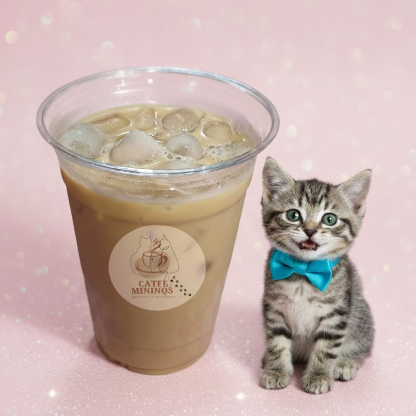 Vainilla Latte Helado