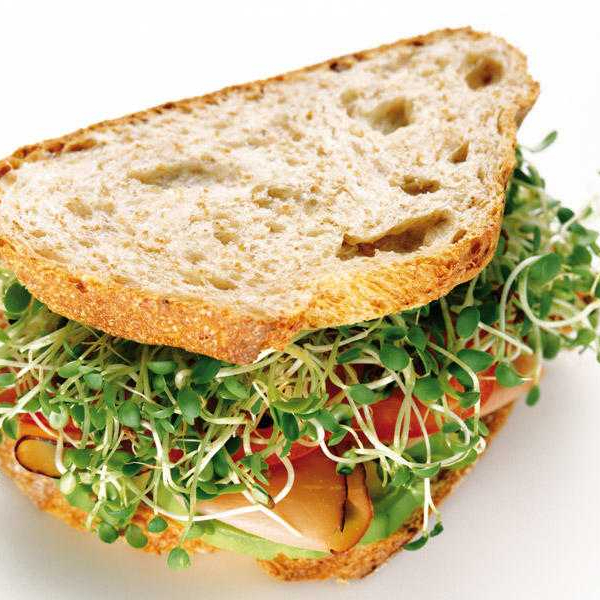 Sandwich de jamon