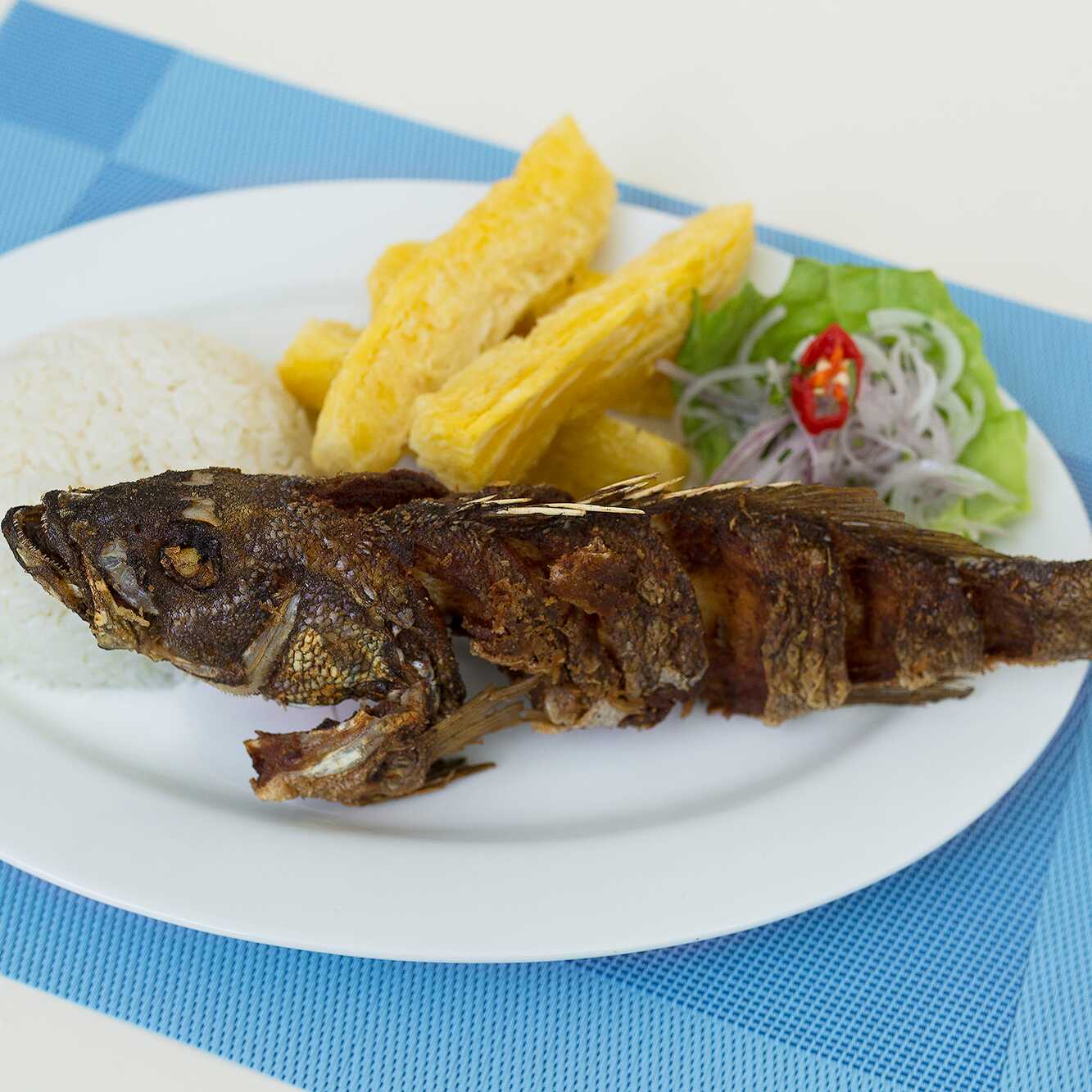 Pesca del Día Cabrilla