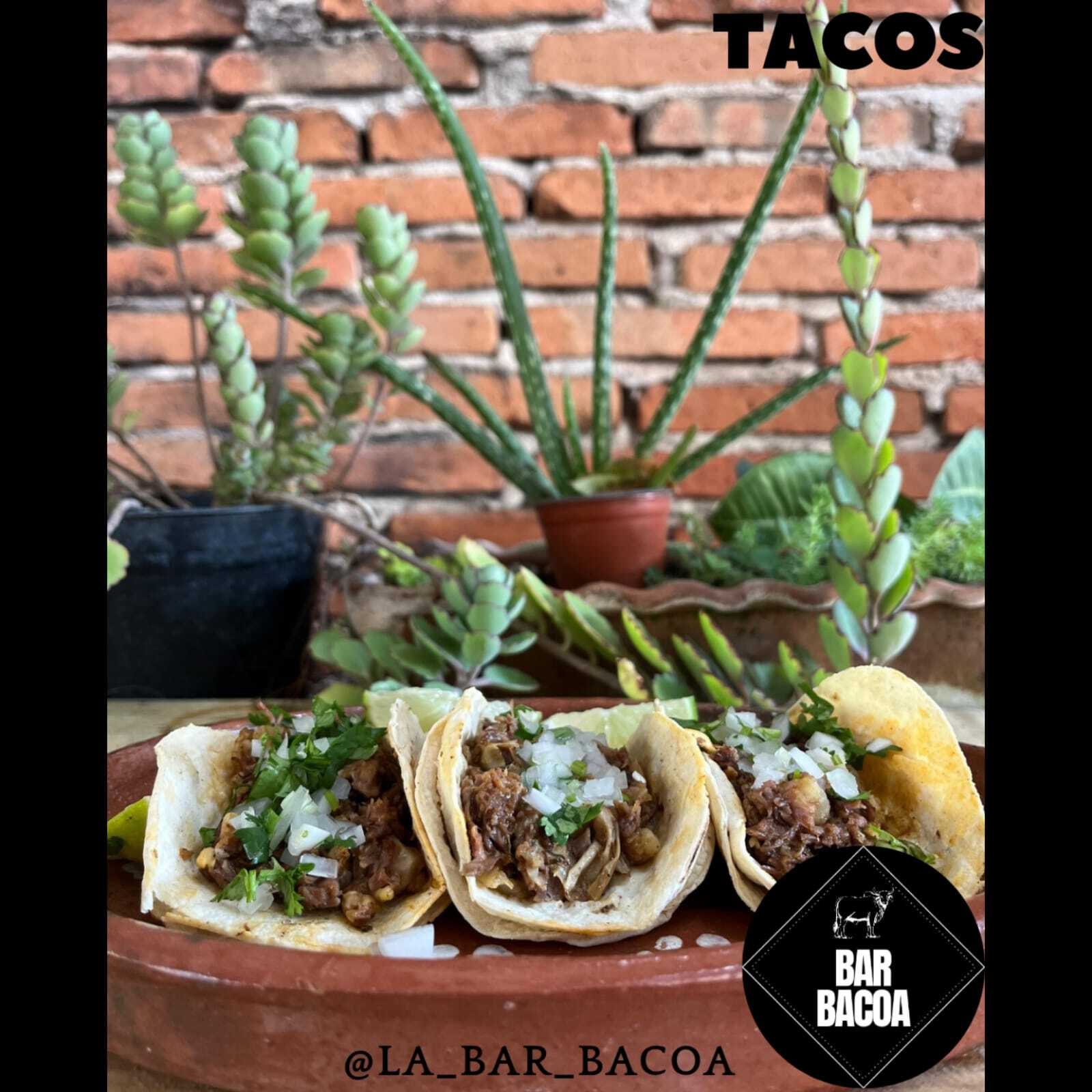 Taco de Barbacoa