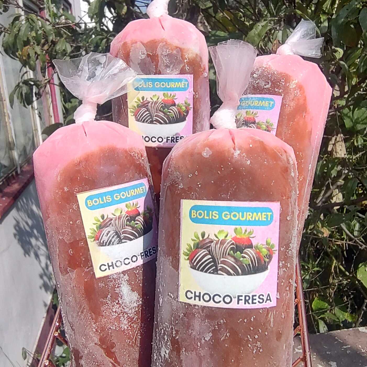 Boli Gourmet de Choco Fresa