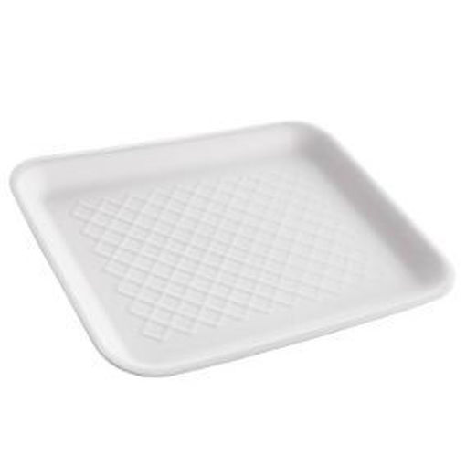 Plato desechable 1 pz