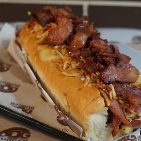 Perra Dog