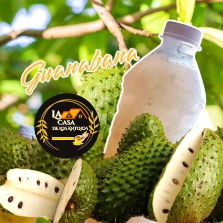 Agua de Guanabana 500ml
