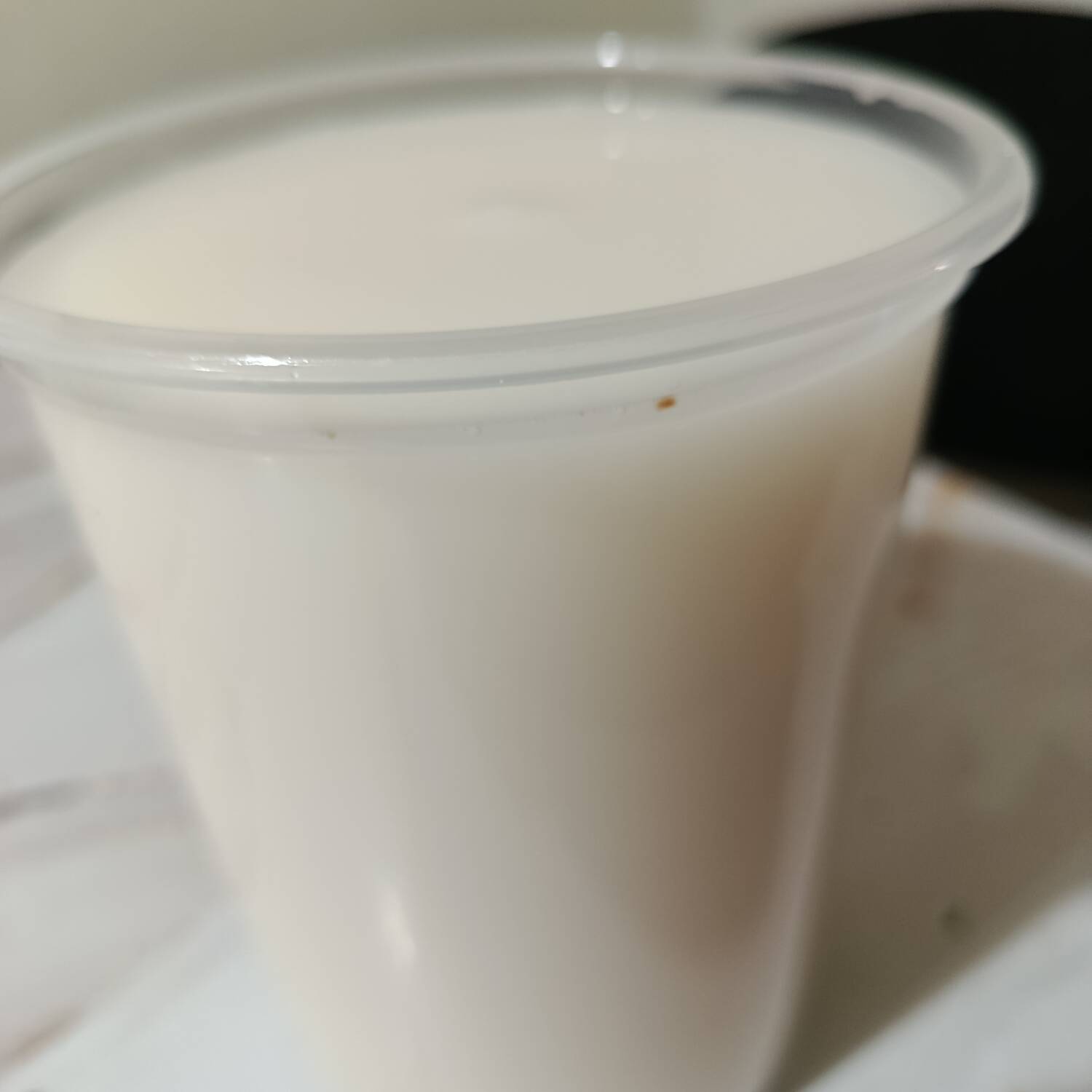 AGUA DE HORCHATA 1 L.