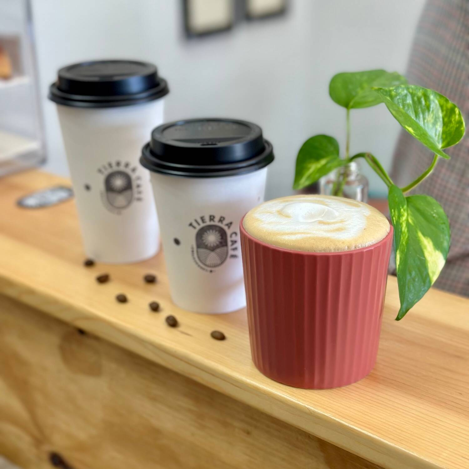 Latte