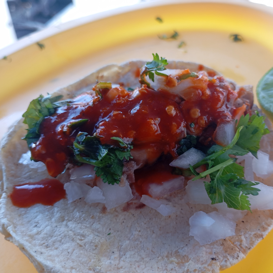 Taco de Cesos de Barbacoa de Cabeza de Puerco