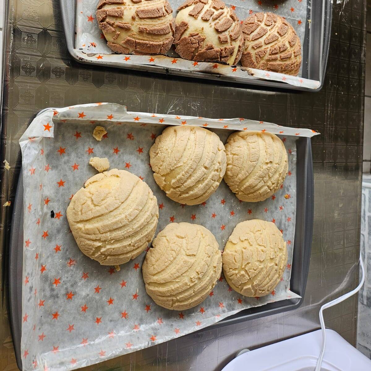 Conchas