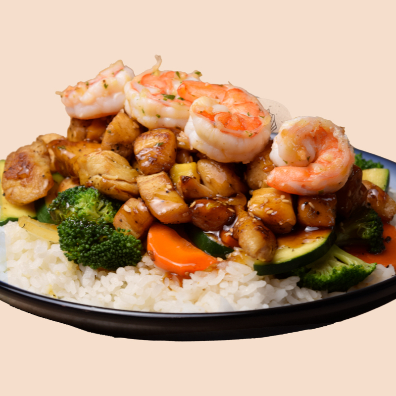 Teriyaki Especial