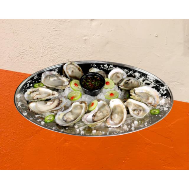 OSTION EN SU CONCHA 12PZ