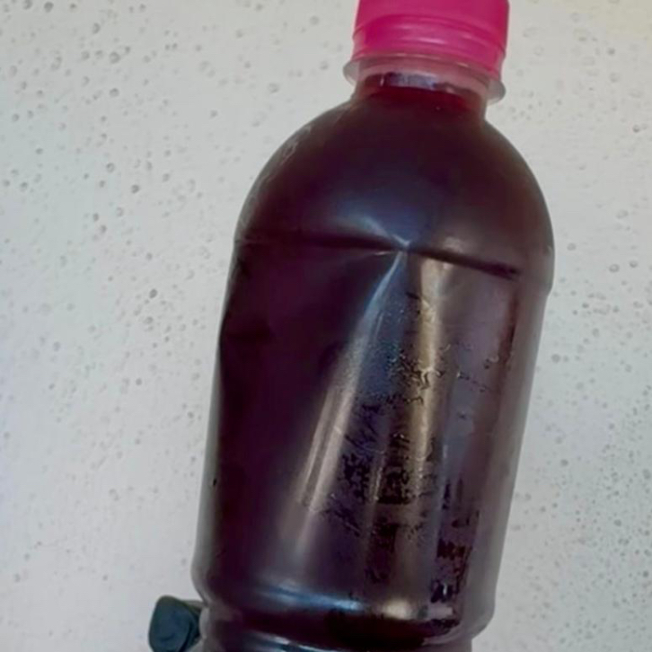 Agua de Sabor 500 ml