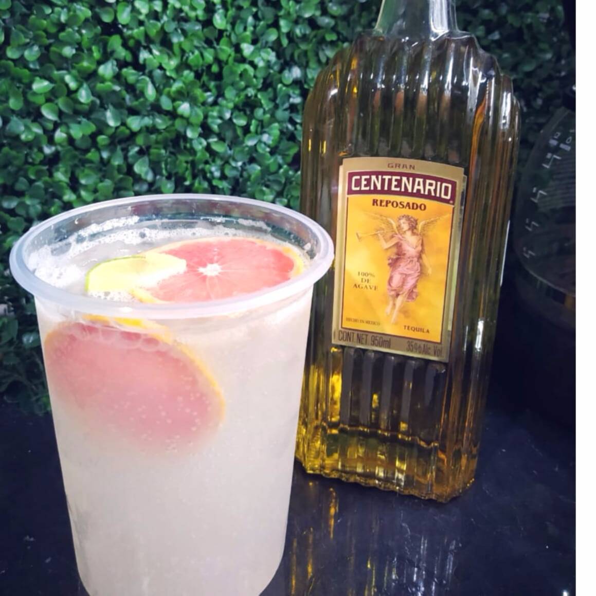 Paloma