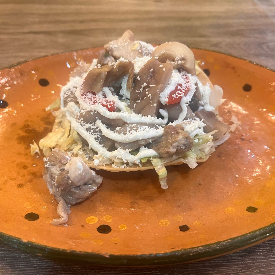 Tostada de trompita de puerco