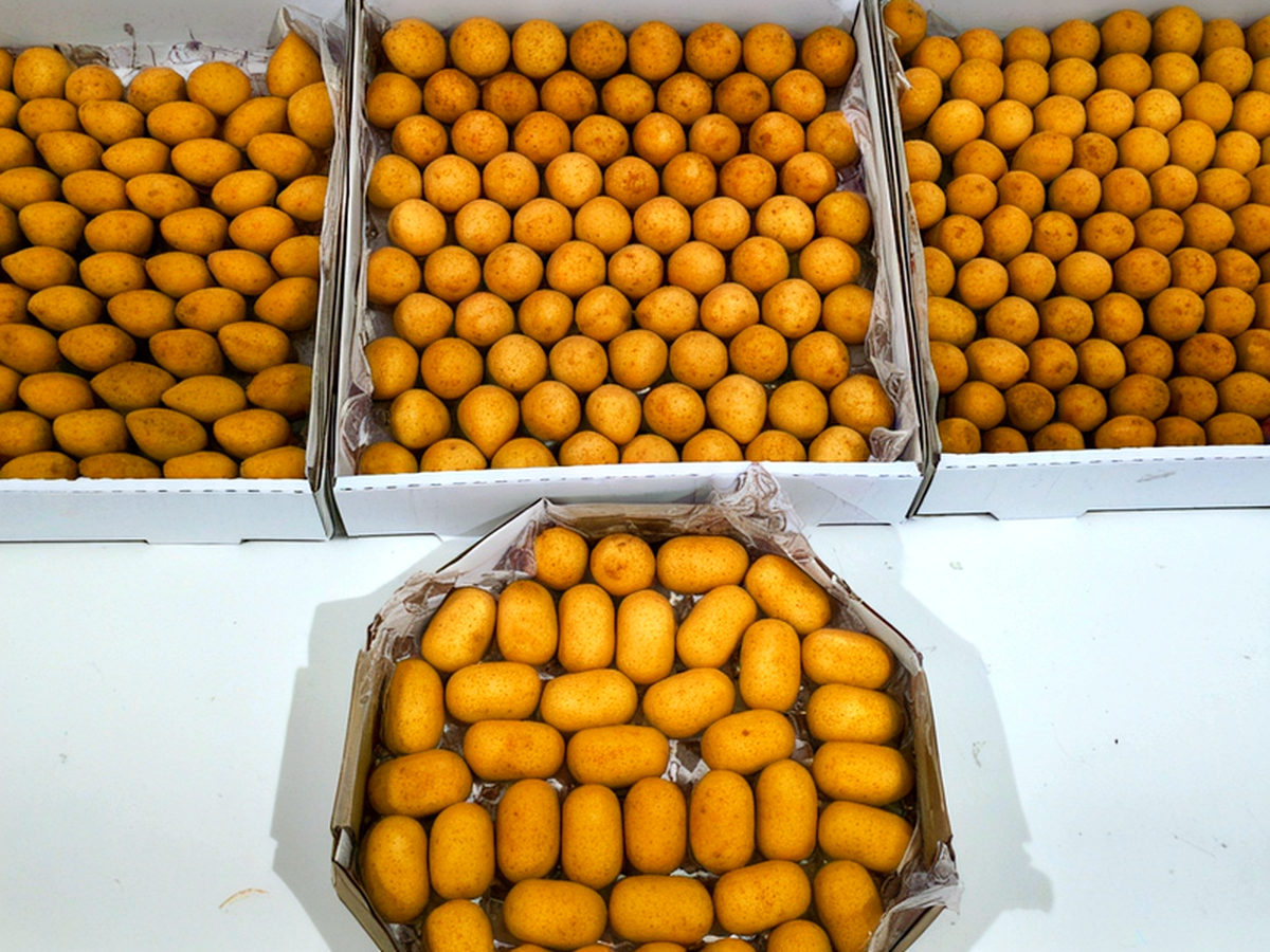 Era Só O Que Me Faltava - Salgados