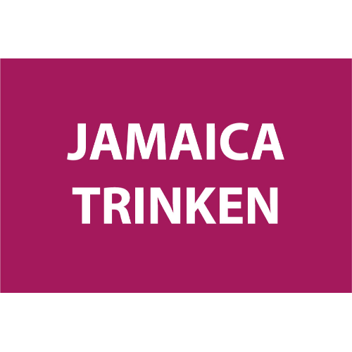 Jamaica Natural Trinken 500 Ml