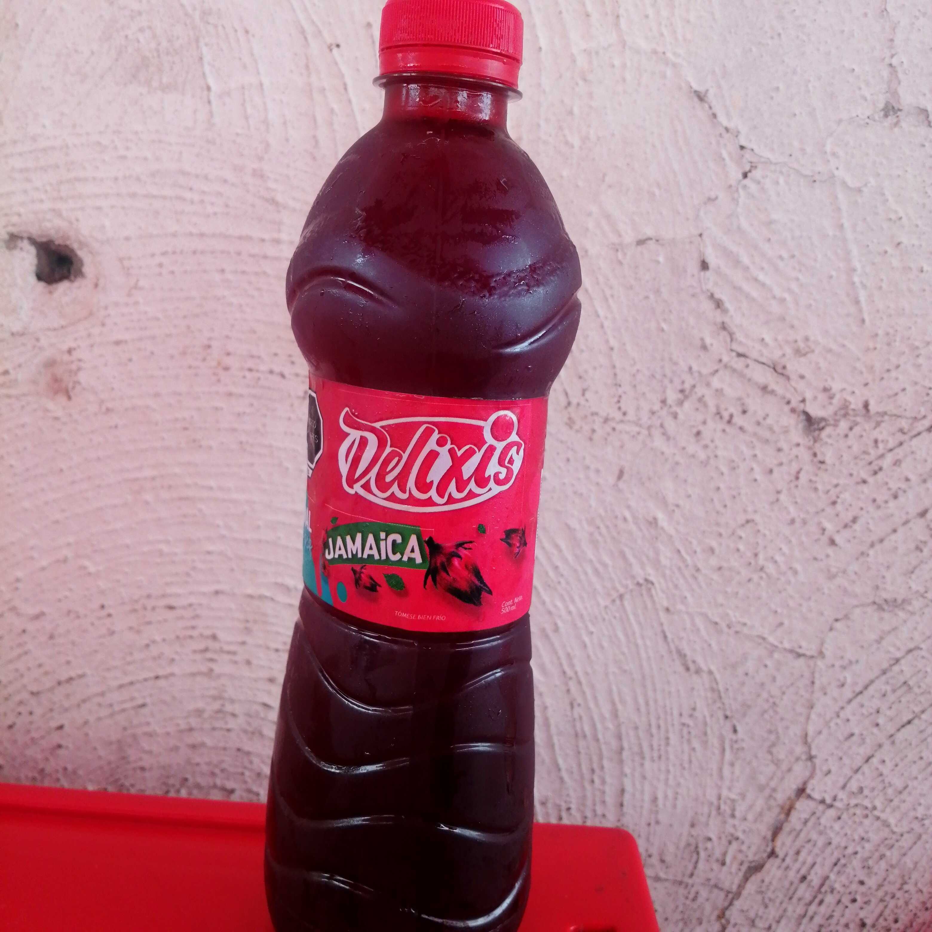 Agua Jamaica 500 ml