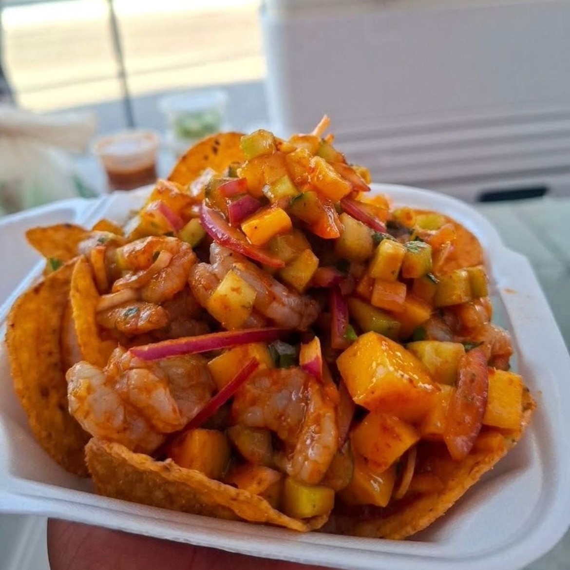 Tostada Tobi