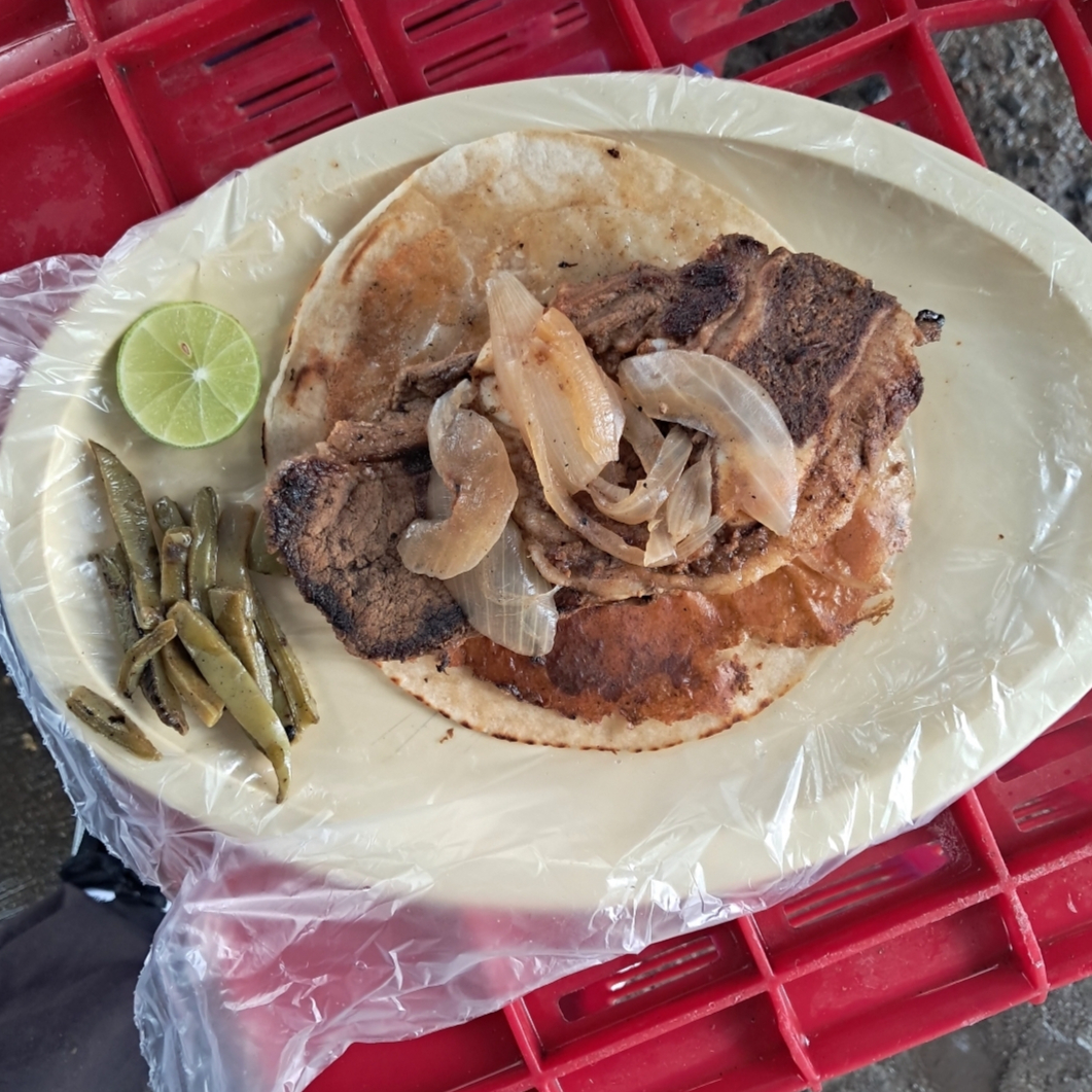 Quesadilla de Harina de Aguja