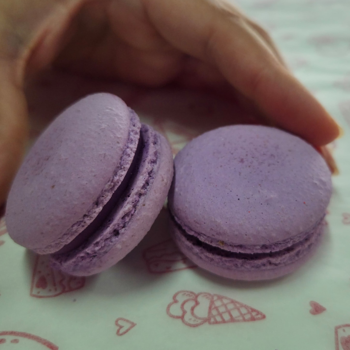 Taro