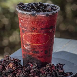 AGUA JAMAICA