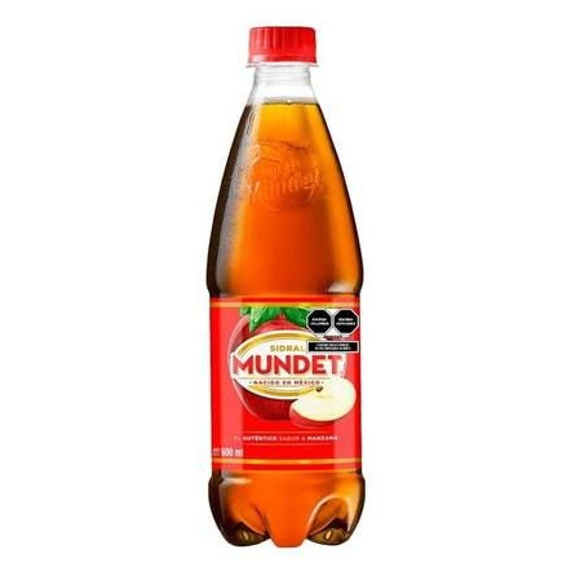Sidral Mundet 600ml