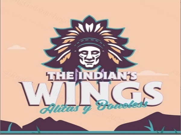 THE INDIAN'S WINGS
