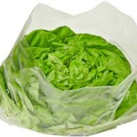 Extra de Lechuga X $10.00