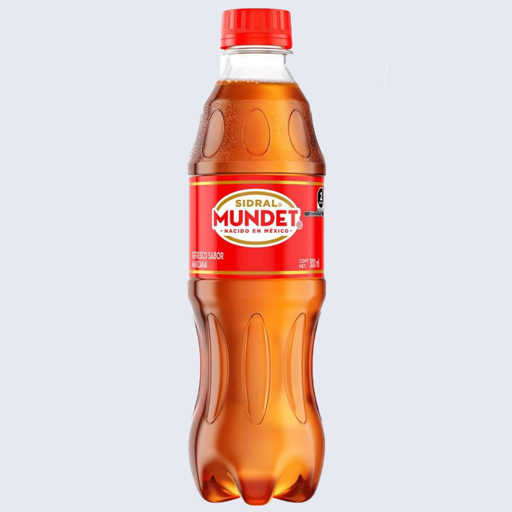 Sidral Mundet 355 ml