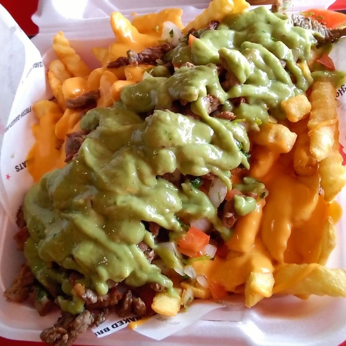 Carne Asada Fries (Grande)