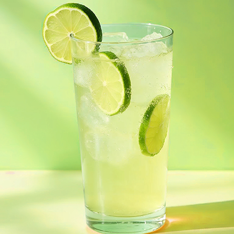 LIMONADA NATURAL (500 ML.)