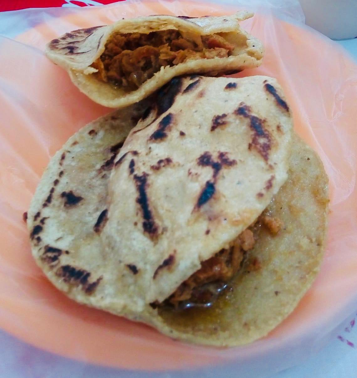 Gordita Riva Palacio