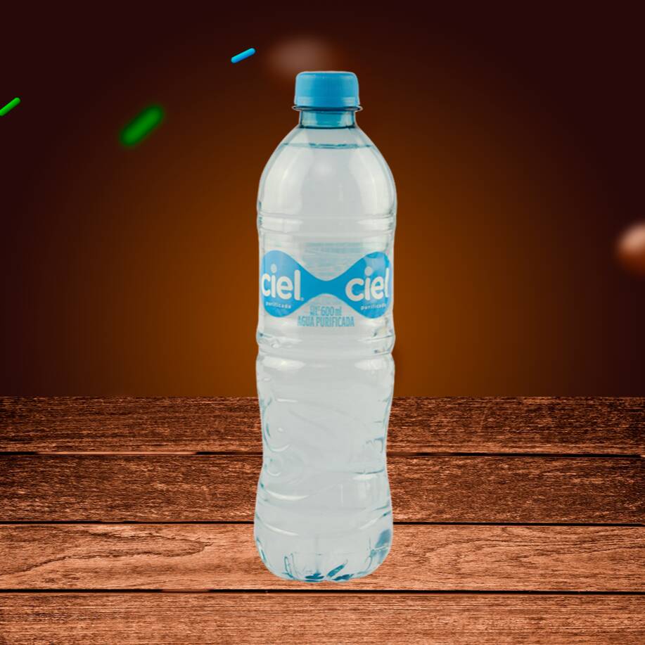 Agua Botella Tr 600 Ml
