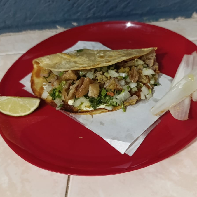 GRINGA DE TRIPA