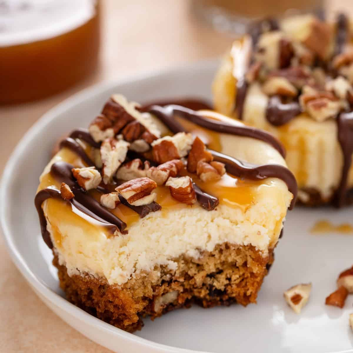 TURTLE CHEESECAKE