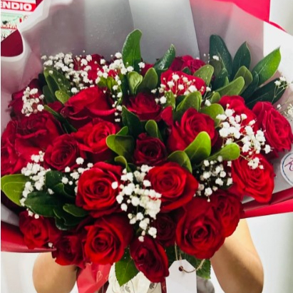 24 Rosas