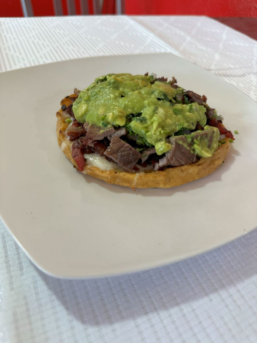 PELLIZCADA DE CARNE ASADA
