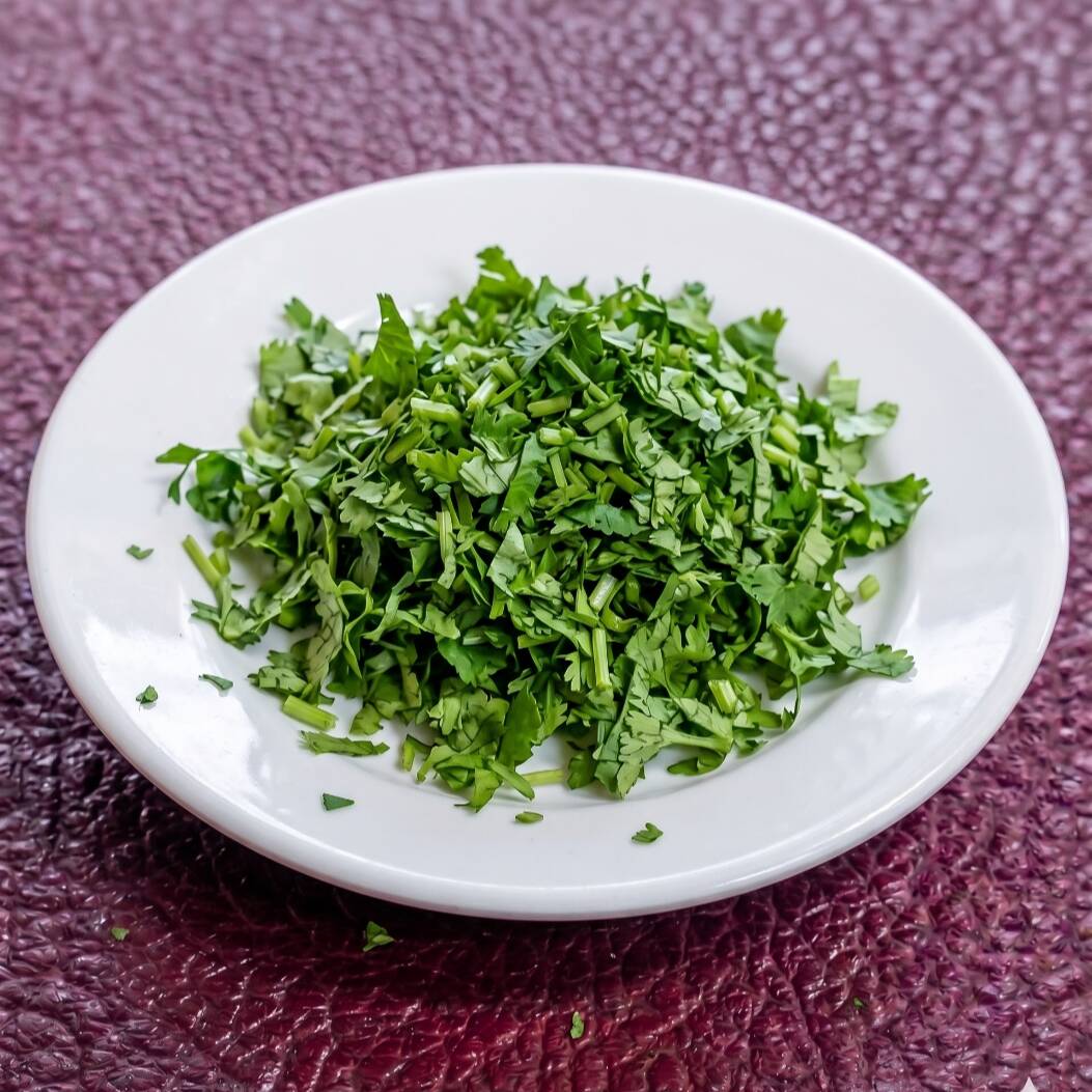 Solo cilantro