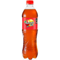 Manzanita SOL