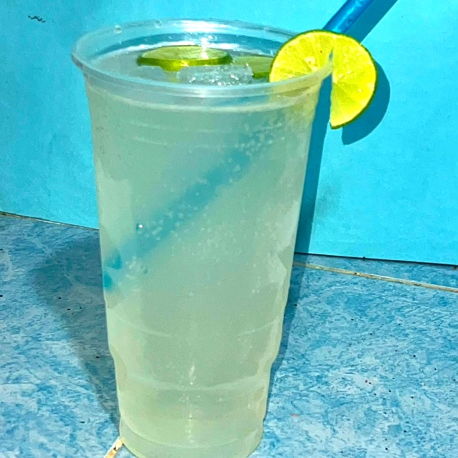 LIMONADA MINERAL 1 Lt.