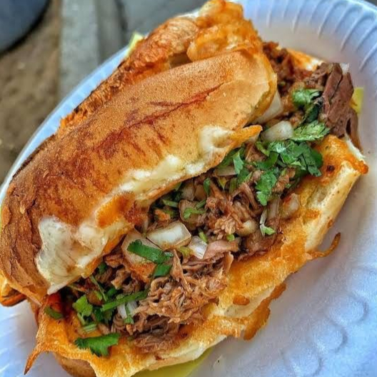 Combo - Torta de Birria +Coca Cola 355ml