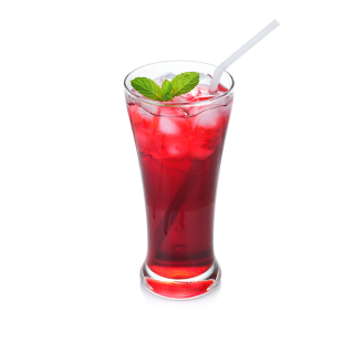 Agua de Jamaica 500 Ml