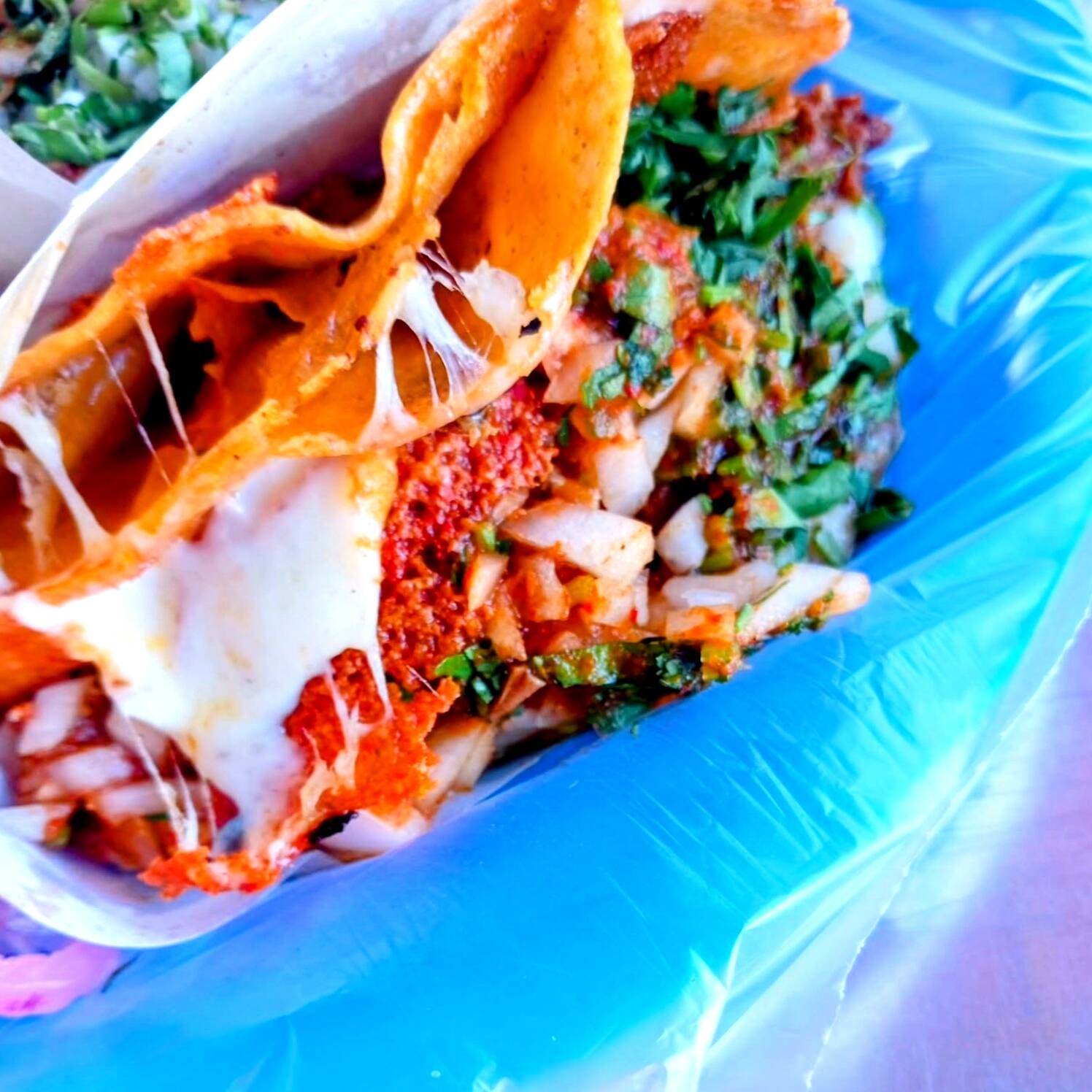 Taco con Queso
