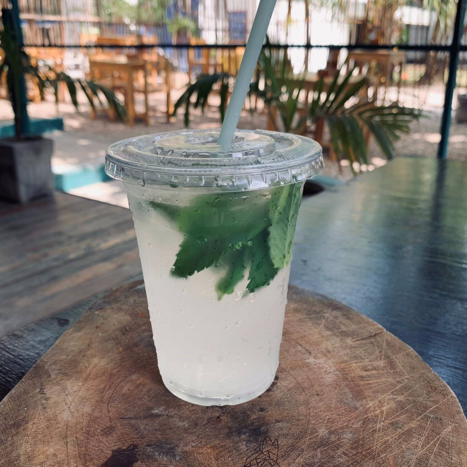 Mojito 500 Ml