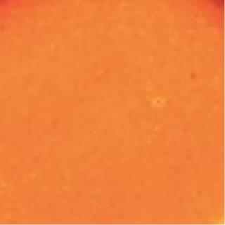 Salsa naranja