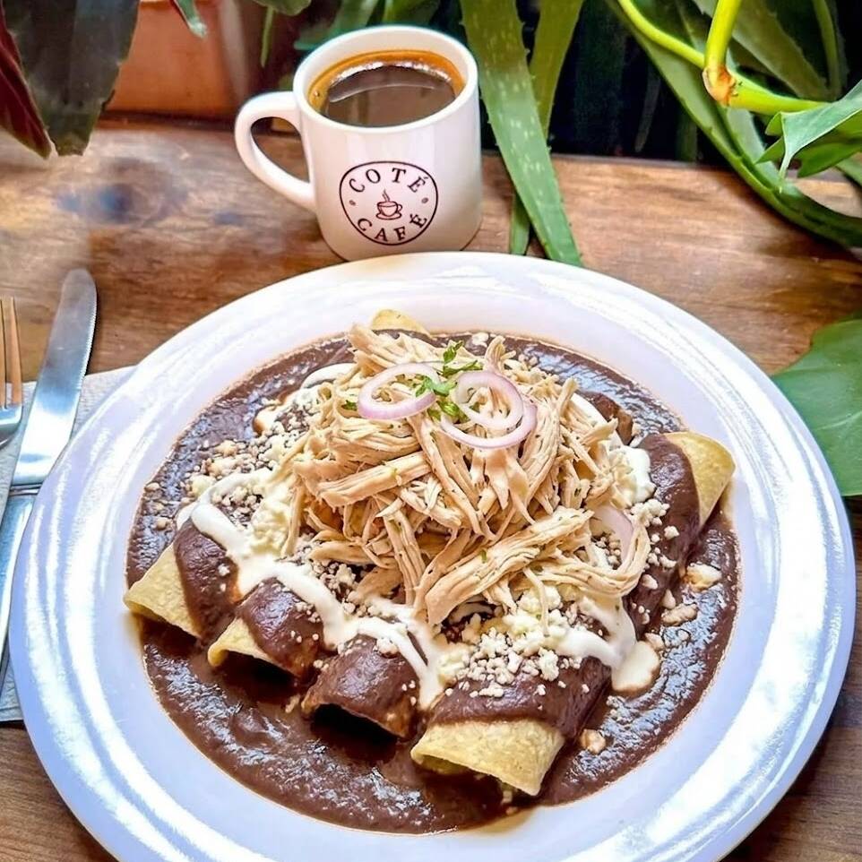 Enfrijoladas de Pollo