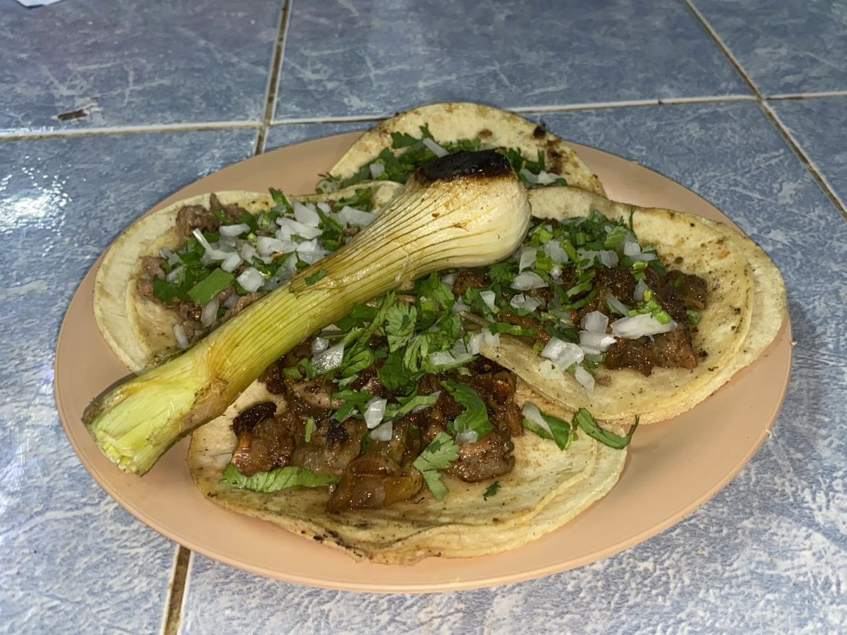 Taquería la Salsita