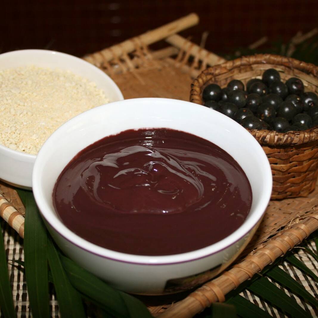 Açaí natural 1L, direto do norte.