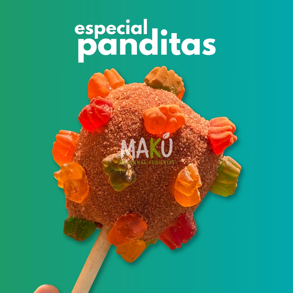Panditas